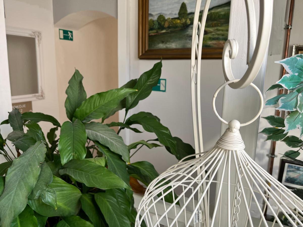 Penzion Pomodoro Vrbno pod Pradědem Exteriér fotografie